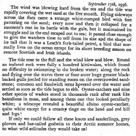 leech's in 1936