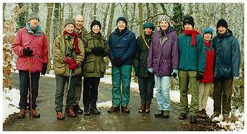 The Christmas Walk