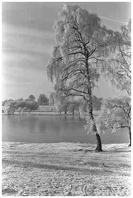 tatton