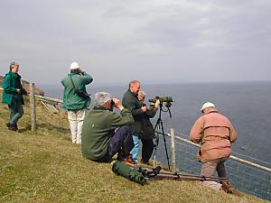 on the clifftop