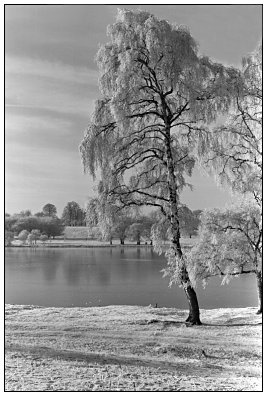 Tatton in Winter